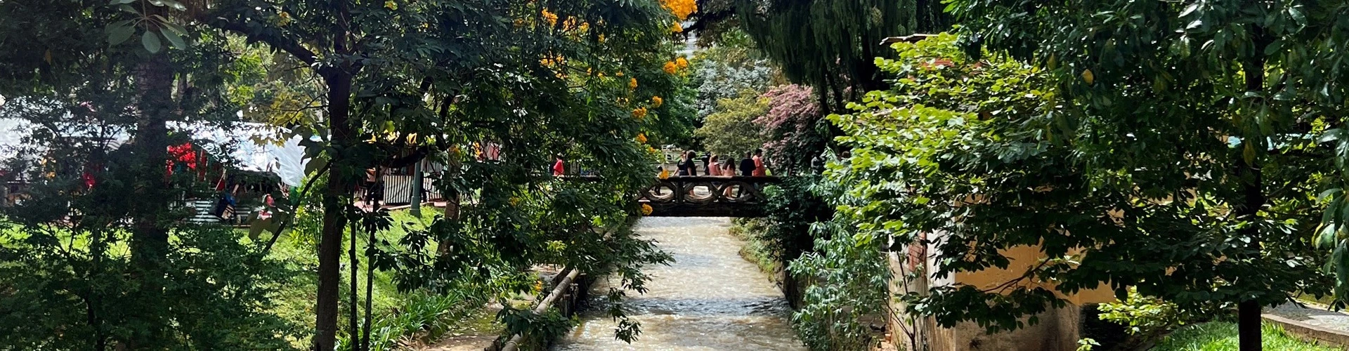Pessoas atravessam ponte sobre um rio cercado de vegetação em dia claro