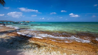 Praia tropical em San Andres com águas turquesa e algas âmbar, sob um céu azul com nuvens esparsas. Há um cais de madeira e indícios de uma área urbana ao longe.
