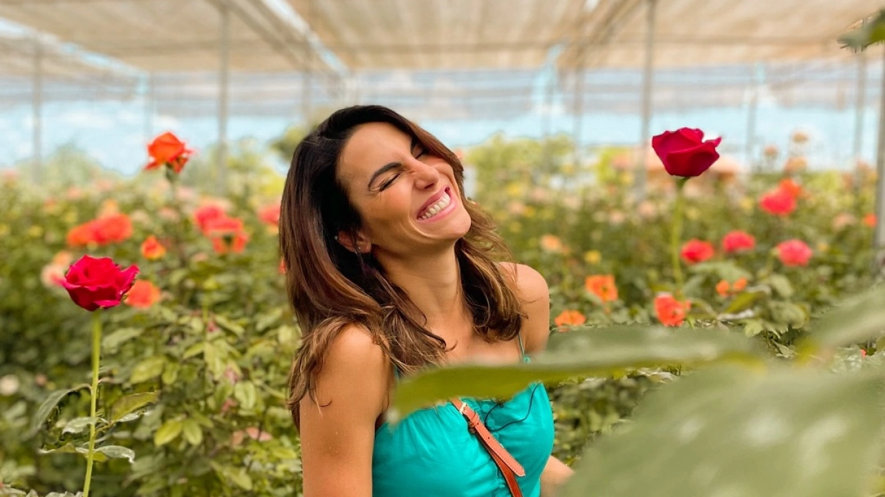 Holambra: Flores & Moinho De Vento, Um Pequeno Pedaço Da Holanda No Brasil,  São Paulo - BRASIL