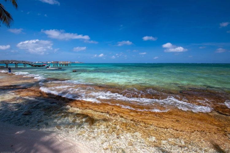 Praia tropical em San Andres com águas turquesa e algas âmbar, sob um céu azul com nuvens esparsas. Há um cais de madeira e indícios de uma área urbana ao longe.