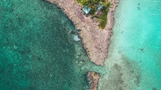 Vista aérea de uma pequena e isolada ilha tropical em San Andres, com rochas e areia cercando um pequeno conjunto de palmeiras. As águas ao redor da ilha variam em tons de azul e verde, mostrando diferentes profundidades e formações subaquáticas, que podem ser recifes de coral.