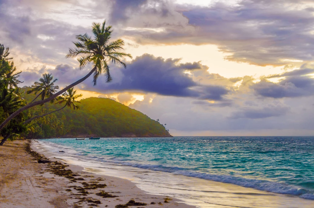 Praia ao entardecer com o céu exibindo cores quentes e nuvens densas. Uma palmeira inclinada para o mar, sobre uma praia deserta com sinais de algas ou detritos trazidos pela maré.